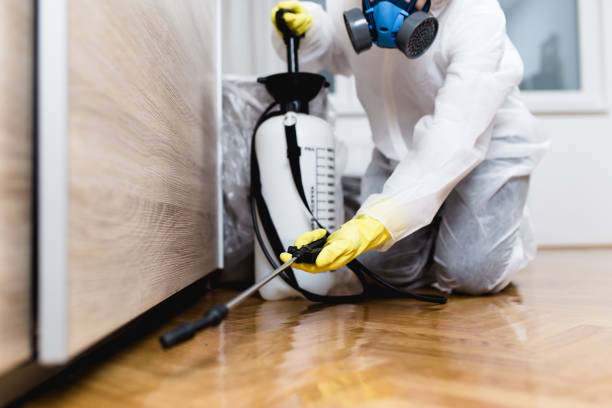 Best Commercial Pest Control Services  in Kraemer, LA