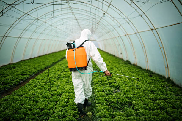 Pest Control for Restaurants in Kraemer, LA