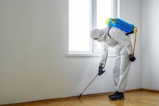 Best Pest Removal Services  in Kraemer, LA