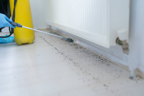 Pest Control Cost in Kraemer, LA