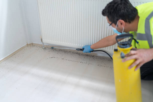 Best Best Pest Control Companies  in Kraemer, LA