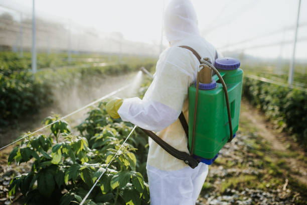 Best Pest Control Cost  in Kraemer, LA